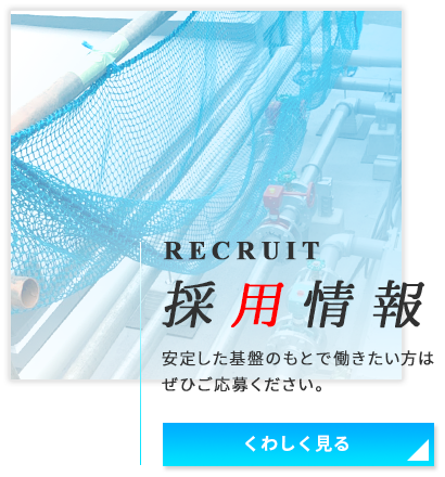 採用情報